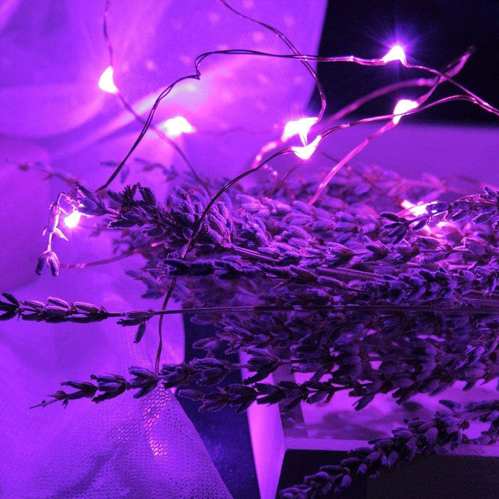 16 Packs Fairy Lights Battery Operated(Batteries Included),10.2Ft 30Leds Copper Wire Firefly Lights,Mini Starry String Lights for Mason Jars Wedding Party DIY Gift Christmas Decor (Purple Fairy Light)