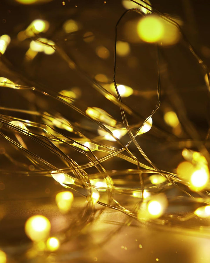 USB Powered Fairy Lights, 2 Pack 33Ft 100 LED, Flexible Silver Wire, Mini String Lights for Christmas Tree/Bedroom/Camping/Holiday Indoor Decoration, Warm White