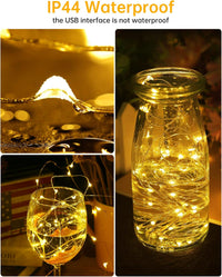 USB Powered Fairy Lights, 2 Pack 33Ft 100 LED, Flexible Silver Wire, Mini String Lights for Christmas Tree/Bedroom/Camping/Holiday Indoor Decoration, Warm White